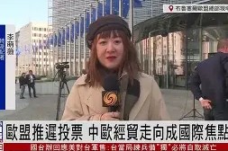 开云体育在线入口-鲁能亚冠历届败绩一览